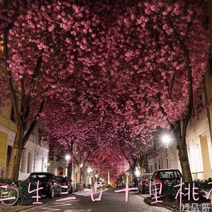 五月六月丁香婷婷激情
