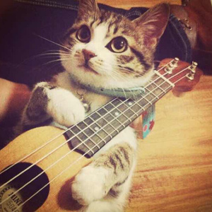 五月六月丁香婷婷激情
