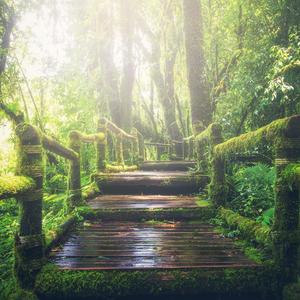 五月六月丁香婷婷激情
